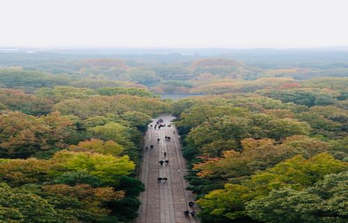 国内儿童运动市场迎来首个百亿级别品牌